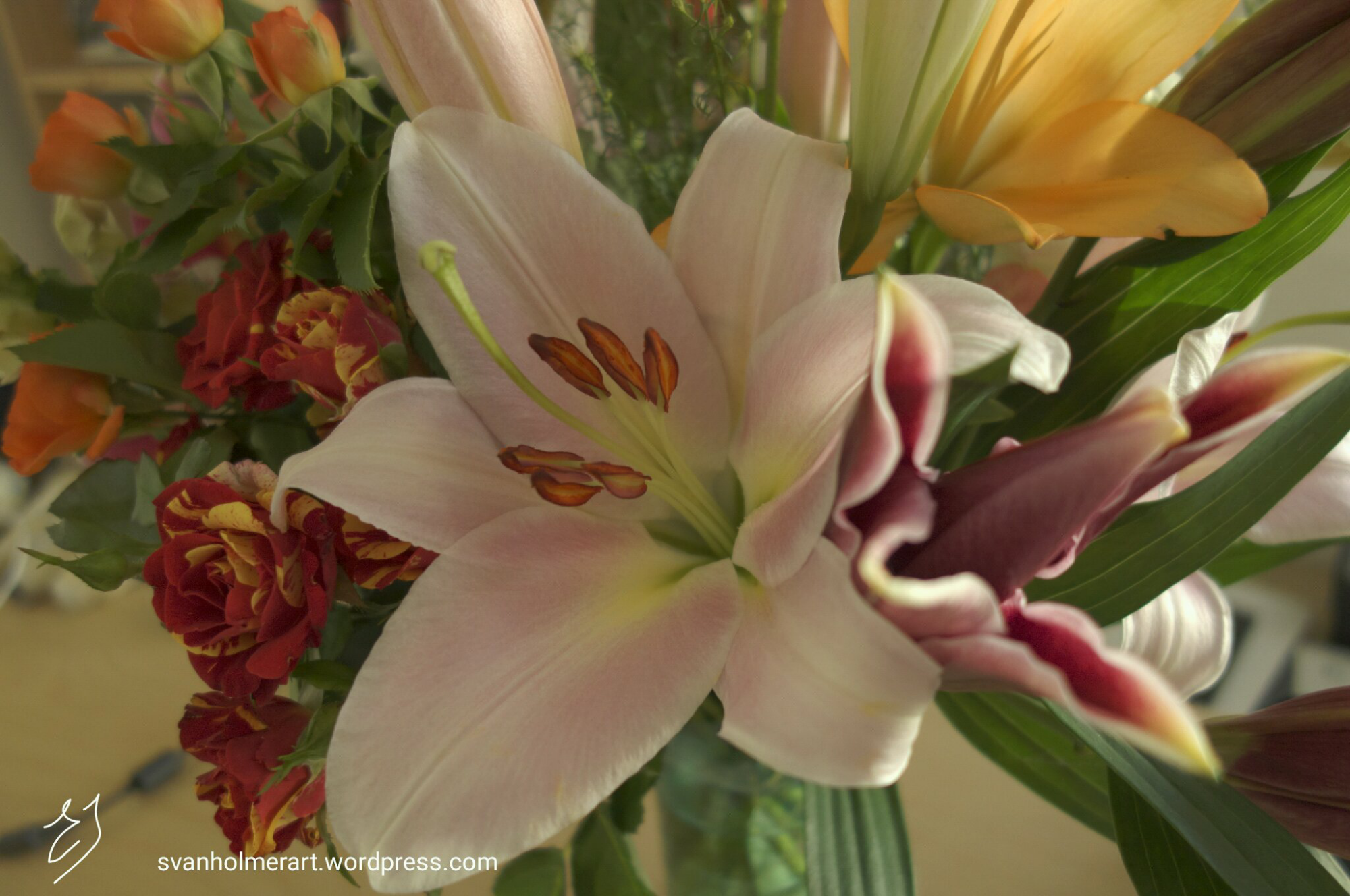 wp-1448753281900 image