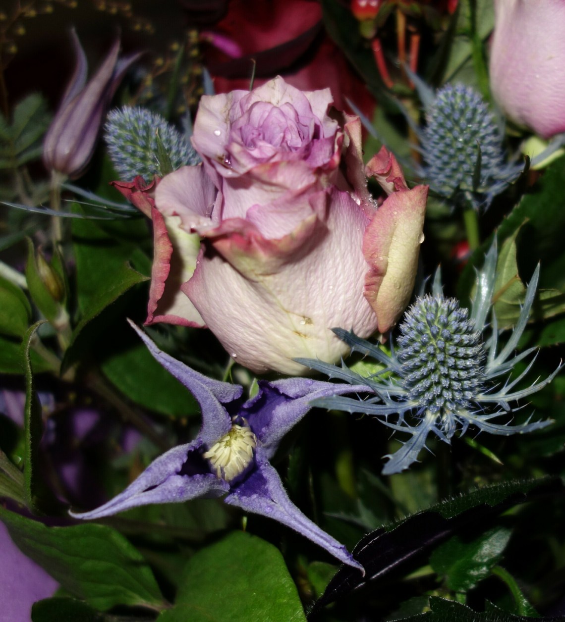 wp-1449092931577 image