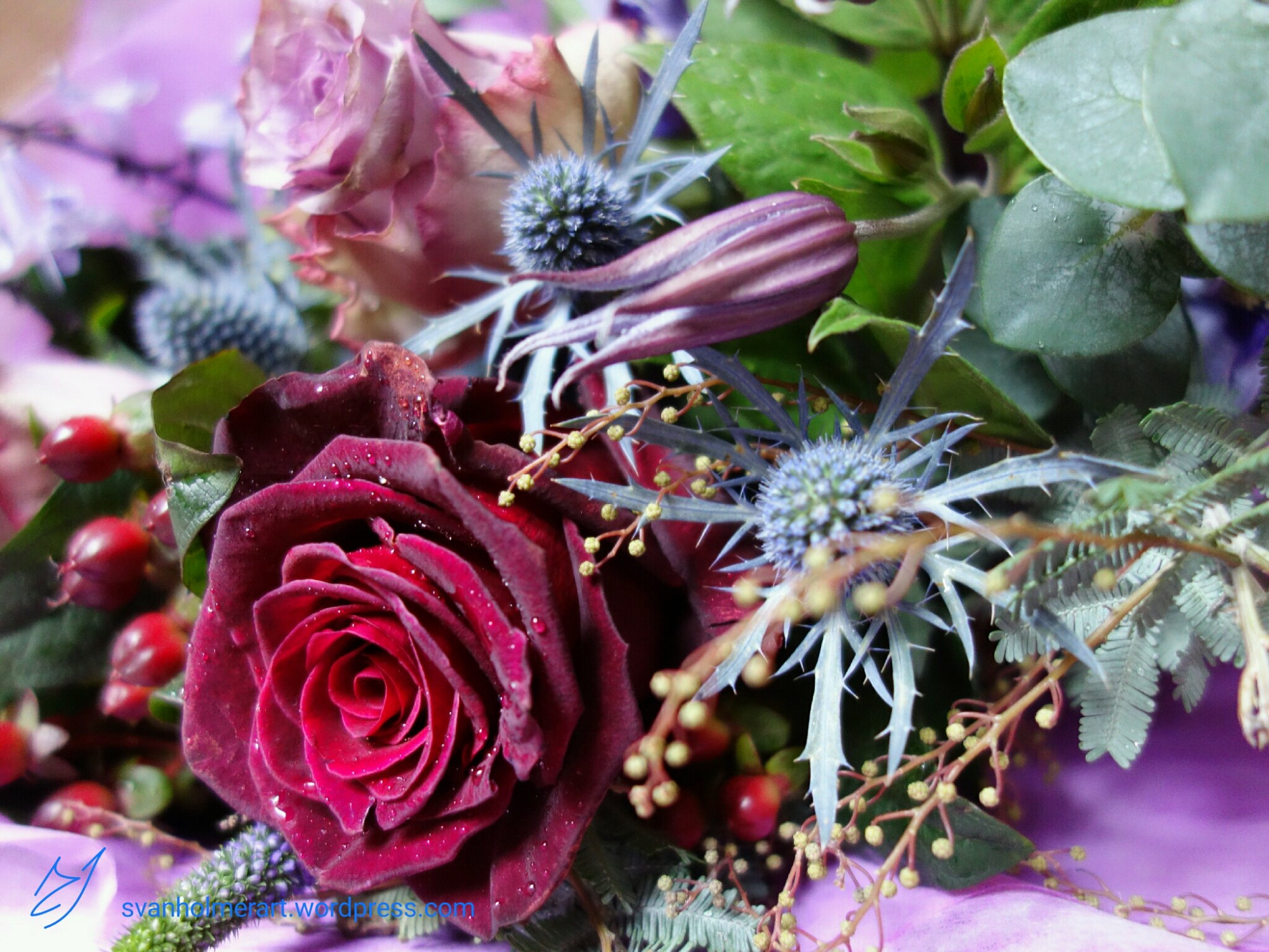 wp-1449092936432 image