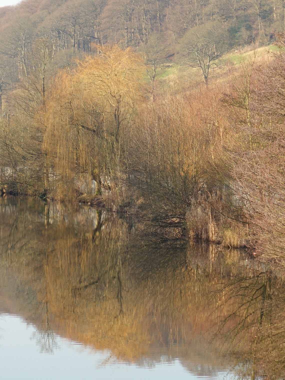 wp-1453408698710 image