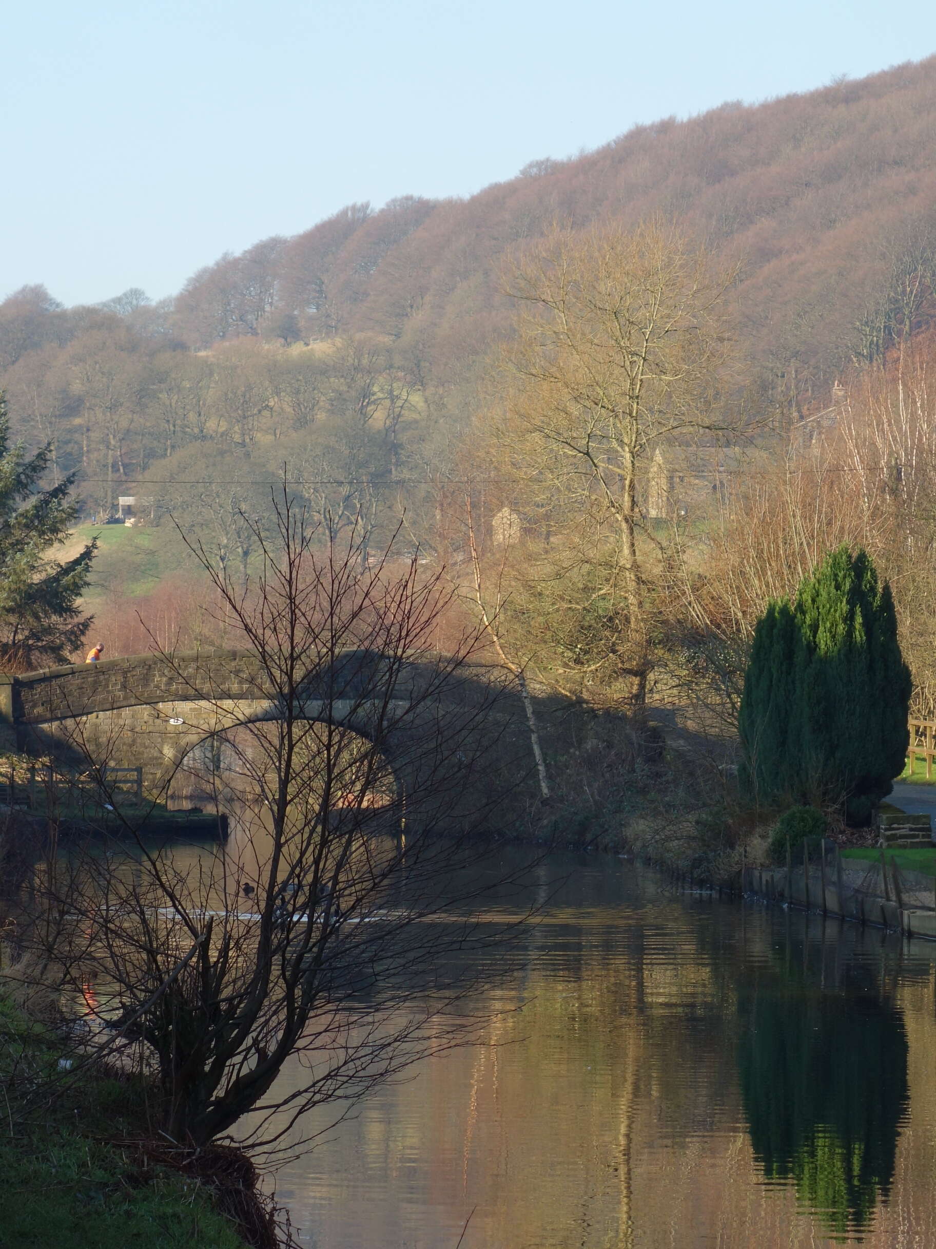 wp-1453408845854 image