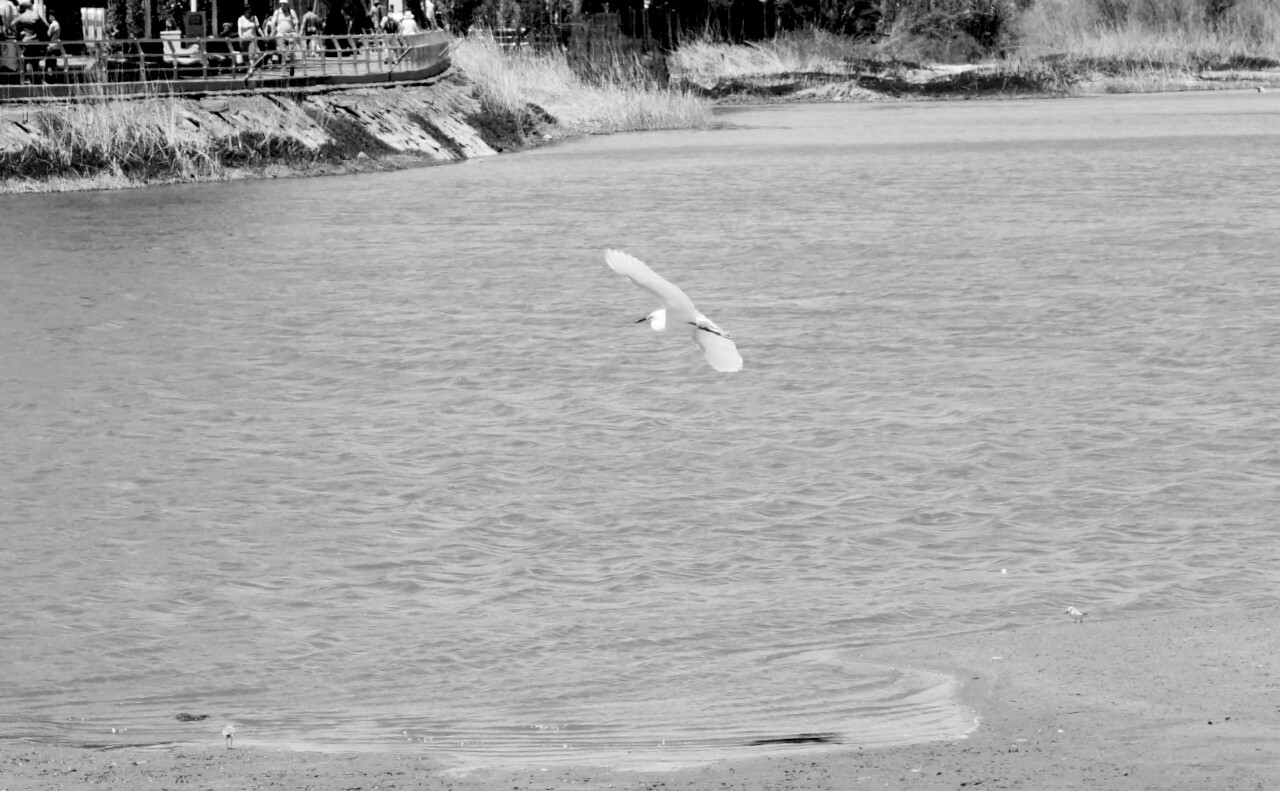 wp-1459969581371 image