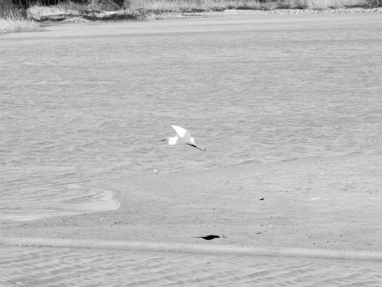 wp-1459969602639 image