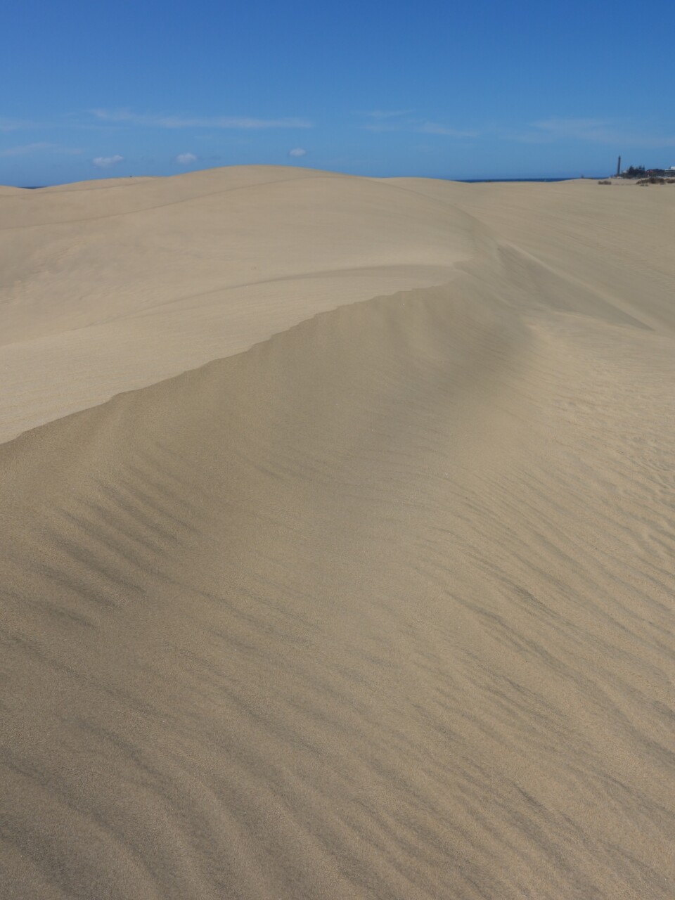 wp-1460062338786 image