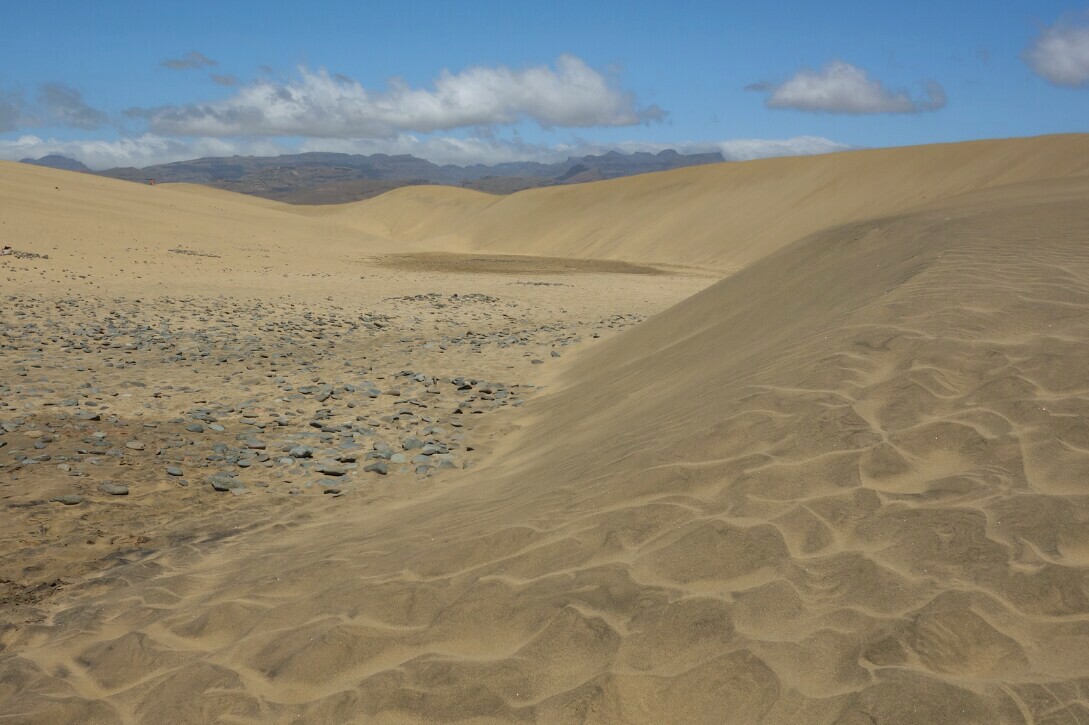 wp-1460062353535 image